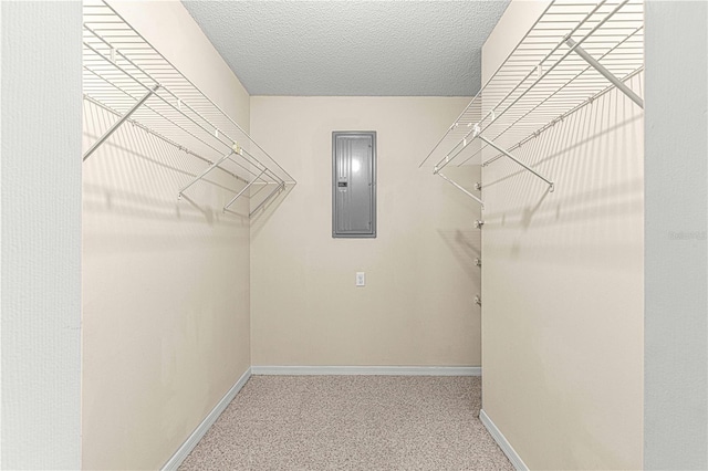 spacious closet with carpet and electric panel