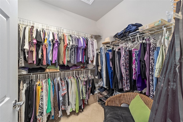 spacious closet featuring carpet