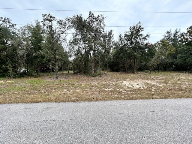 787 E Savoy St, Lecanto FL, 34461 land for sale