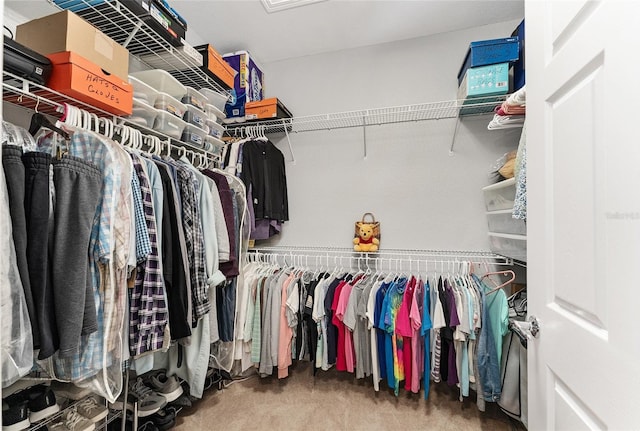 spacious closet featuring carpet flooring