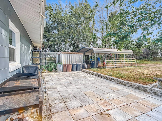 view of patio / terrace featuring a storage shed