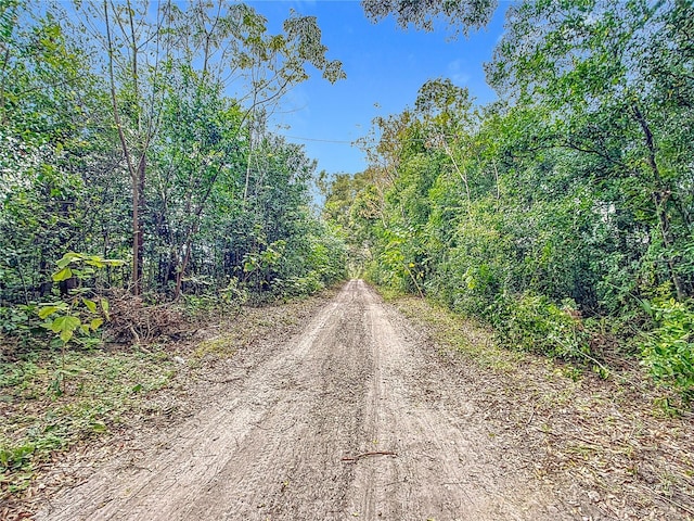 view of road