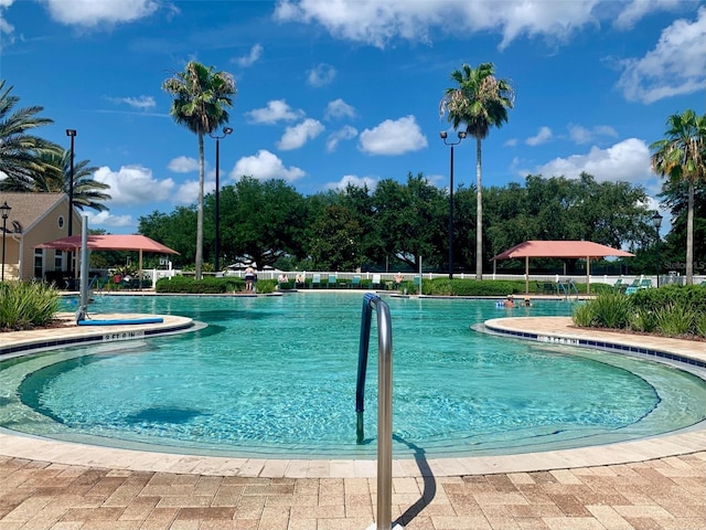 view of swimming pool