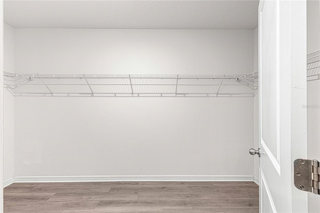 walk in closet with hardwood / wood-style flooring