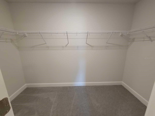 spacious closet with dark carpet