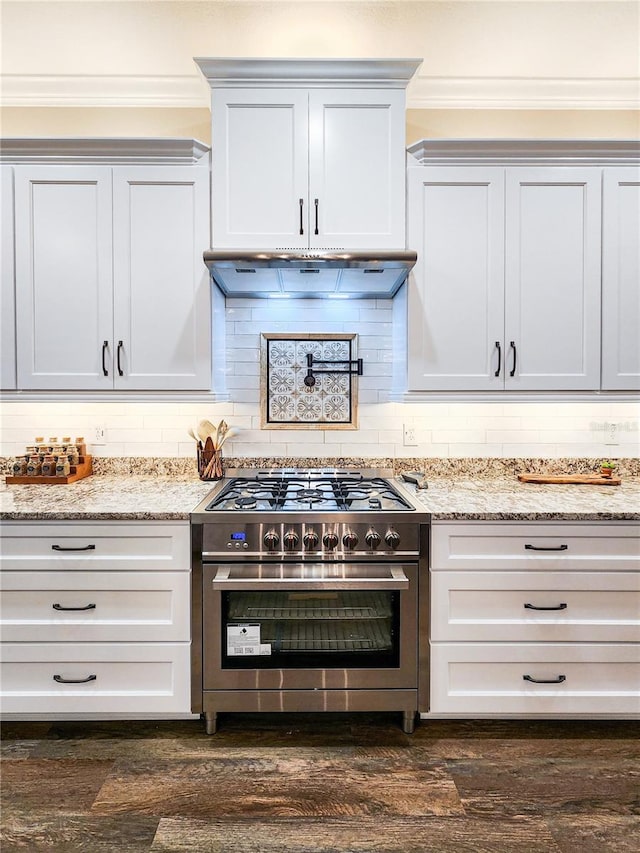 kitchen with under cabinet range hood, dark wood finished floors, high end stainless steel range, and ornamental molding