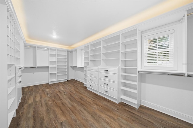 walk in closet with dark wood-style flooring