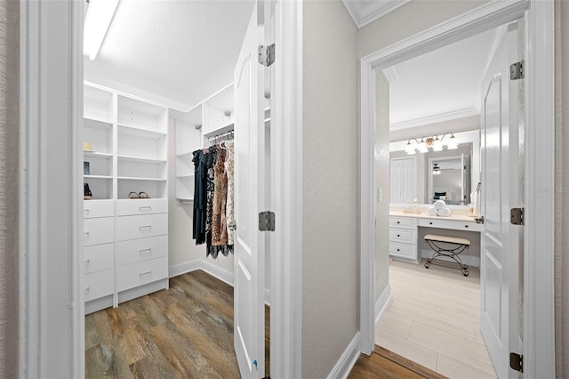 spacious closet featuring wood finished floors