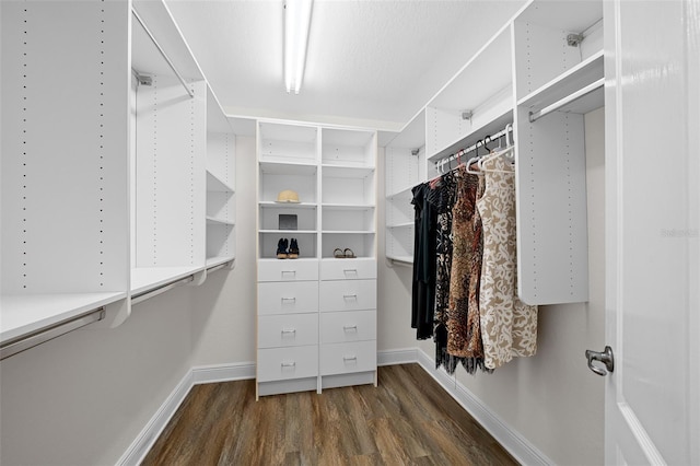 walk in closet featuring wood finished floors