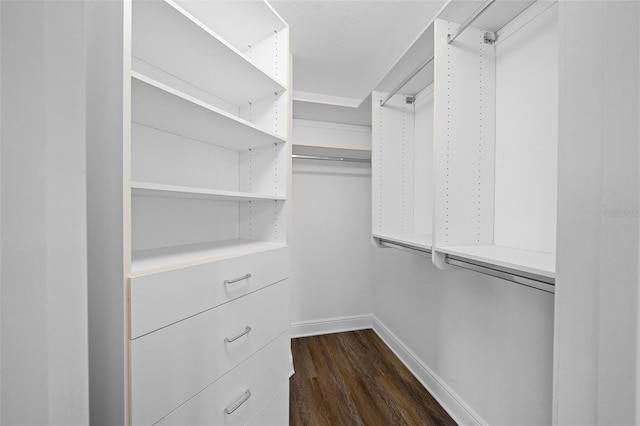 spacious closet with dark wood-type flooring