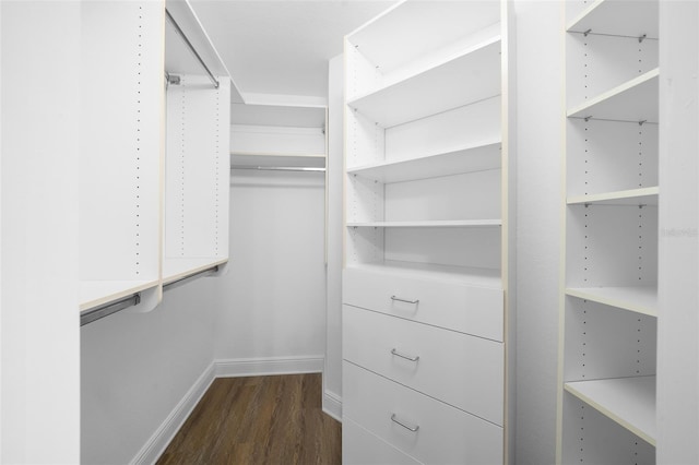 spacious closet with dark wood-type flooring