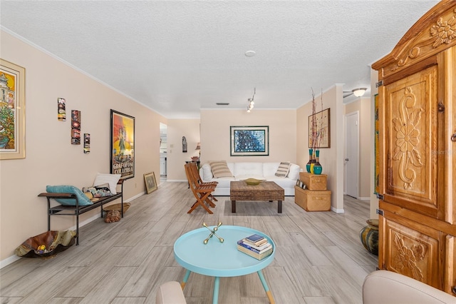 living room featuring a textured ceiling and ornamental molding