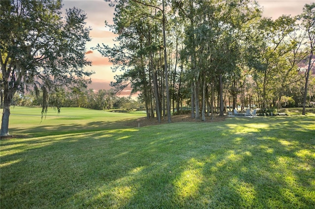 view of yard at dusk