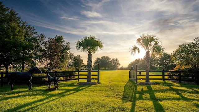 view of gate featuring a yard and a rural view