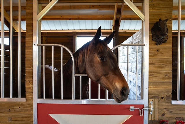 view of stable