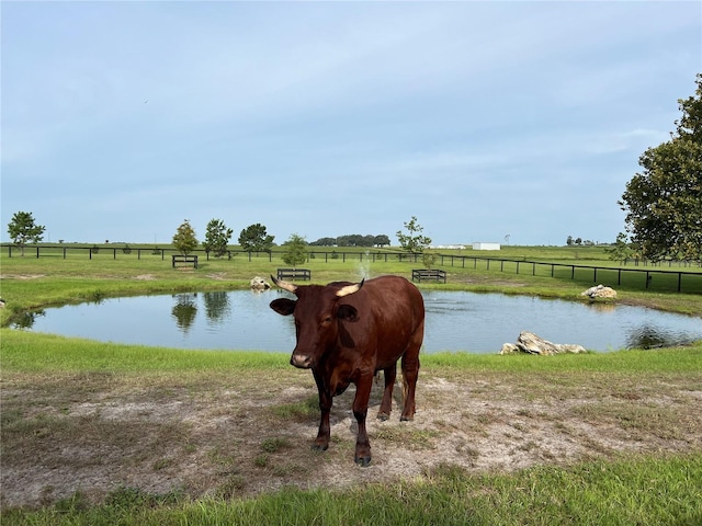 view of water feature with a rural view