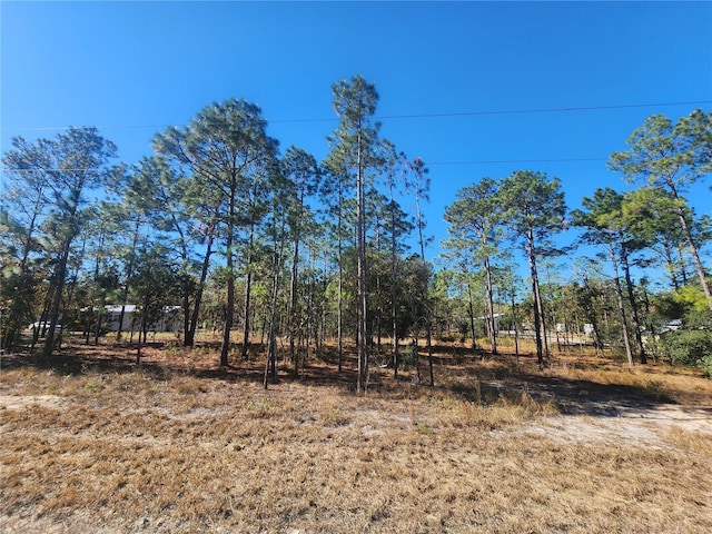 0 SE 144th Ave, Williston FL, 32696 land for sale