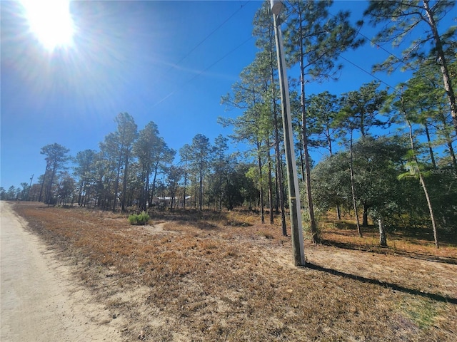 Listing photo 3 for 0 SE 144th Ave, Williston FL 32696