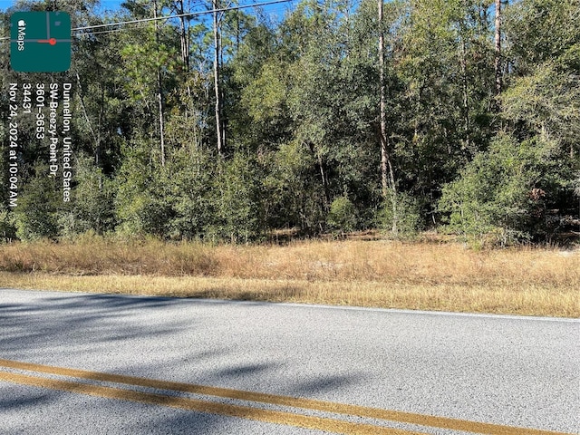 TBD SW Breezy Point Dr, Dunnellon FL, 34431 land for sale