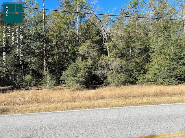 Listing photo 2 for TBD SW Breezy Point Dr, Dunnellon FL 34431