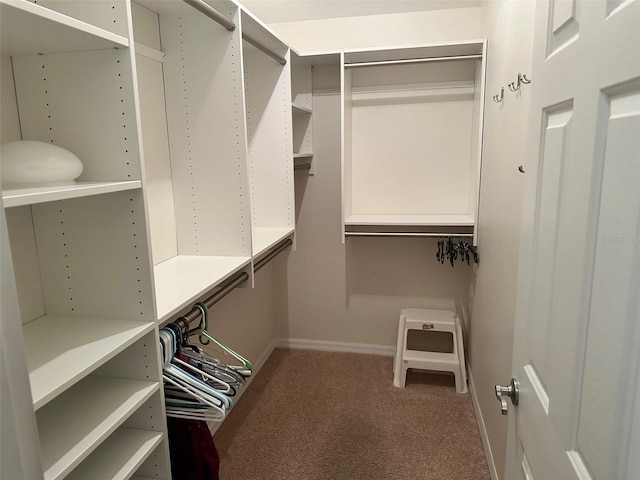 walk in closet featuring carpet flooring