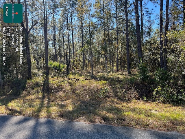 TBD SW Anchor Blvd, Dunnellon FL, 34431 land for sale