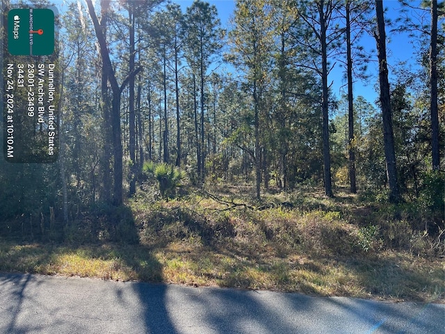 Listing photo 3 for TBD SW Anchor Blvd, Dunnellon FL 34431