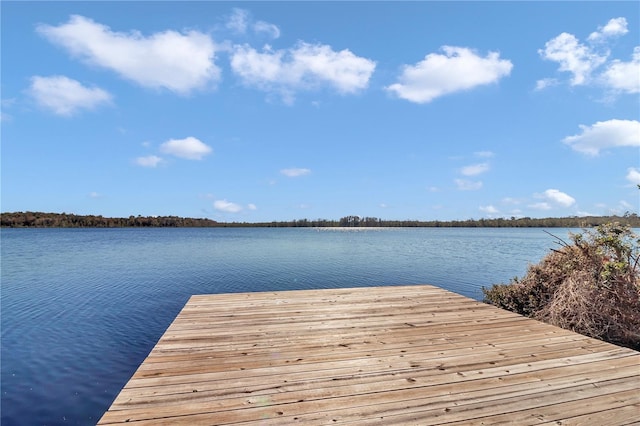 17830 NE 49th Street Rd, Silver Springs, FL 34488 - photo 1