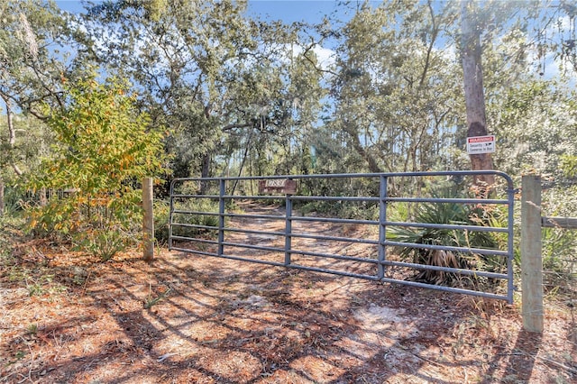 17830 NE 49th Street Rd, Silver Springs, FL 34488 - photo 2