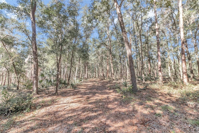 17830 NE 49th Street Rd, Silver Springs, FL 34488 - photo 3