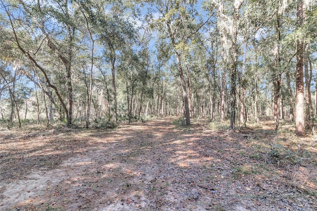 17830 NE 49th Street Rd, Silver Springs, FL 34488 - photo 4