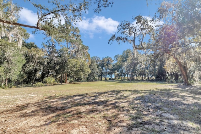 17830 NE 49th Street Rd, Silver Springs, FL 34488 - photo 6