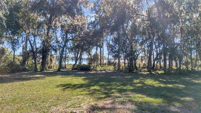 17830 NE 49th Street Rd, Silver Springs, FL 34488 - photo 7