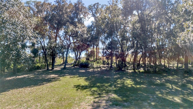 17830 NE 49th Street Rd, Silver Springs, FL 34488 - photo 8