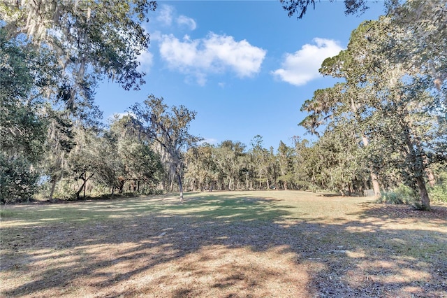 17830 NE 49th Street Rd, Silver Springs, FL 34488 - photo 9