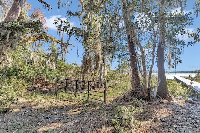 17830 NE 49th Street Rd, Silver Springs, FL 34488 - photo 10