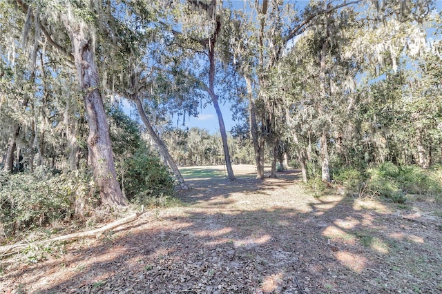 17830 NE 49th Street Rd, Silver Springs, FL 34488 - photo 11