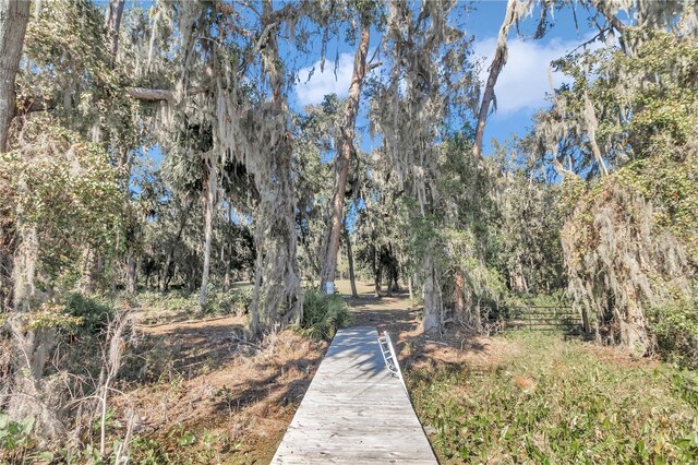 17830 NE 49th Street Rd, Silver Springs, FL 34488 - photo 12