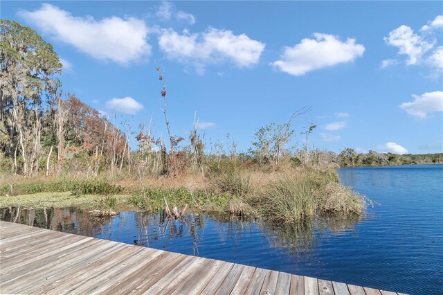 17830 NE 49th Street Rd, Silver Springs, FL 34488 - photo 14