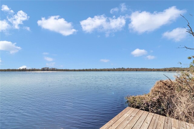 17830 NE 49th Street Rd, Silver Springs, FL 34488 - photo 15