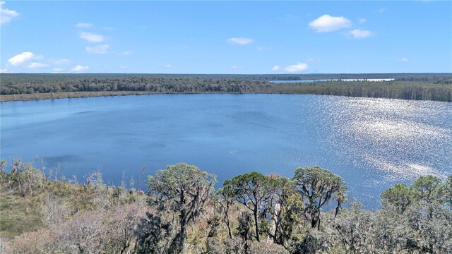 17830 NE 49th Street Rd, Silver Springs, FL 34488 - photo 16