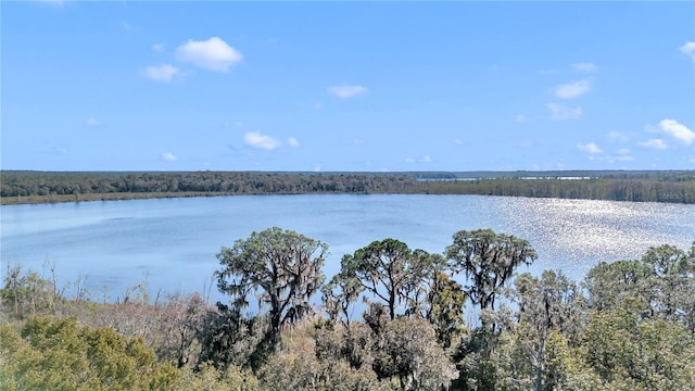 17830 NE 49th Street Rd, Silver Springs, FL 34488 - photo 17