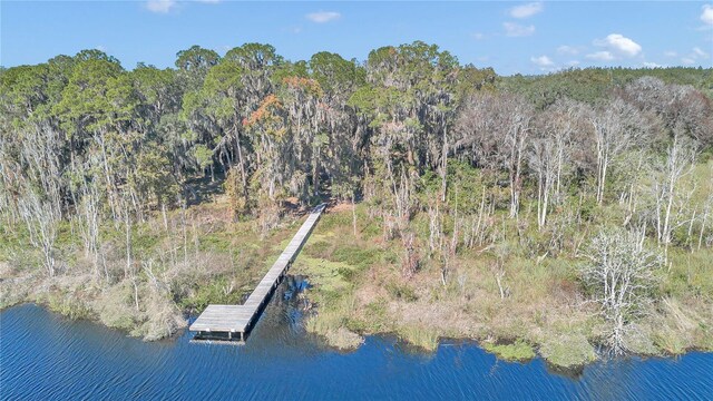 17830 NE 49th Street Rd, Silver Springs, FL 34488 - photo 18