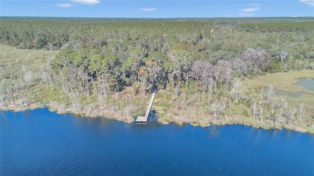 17830 NE 49th Street Rd, Silver Springs, FL 34488 - photo 19