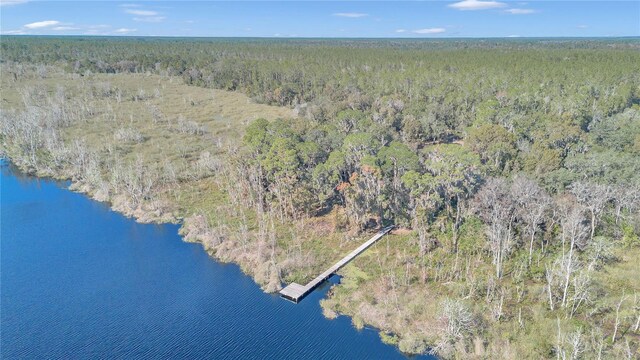 17830 NE 49th Street Rd, Silver Springs, FL 34488 - photo 20