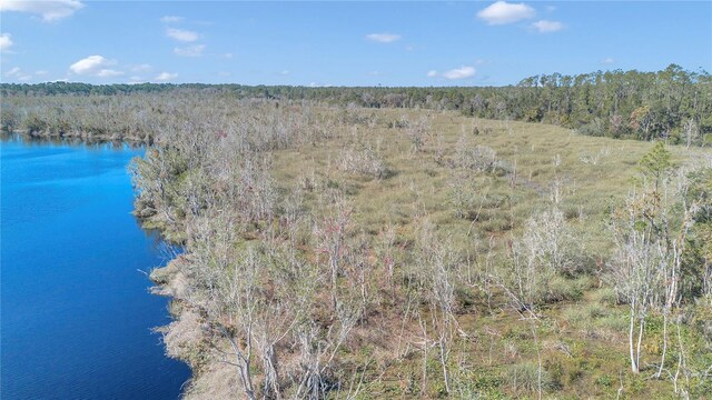17830 NE 49th Street Rd, Silver Springs, FL 34488 - photo 21