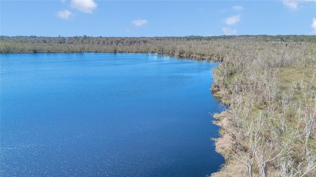 17830 NE 49th Street Rd, Silver Springs, FL 34488 - photo 22