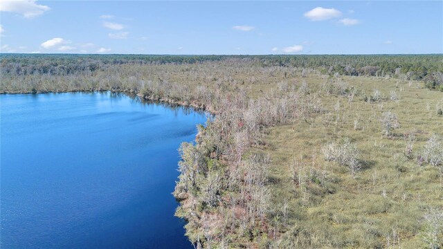 17830 NE 49th Street Rd, Silver Springs, FL 34488 - photo 23