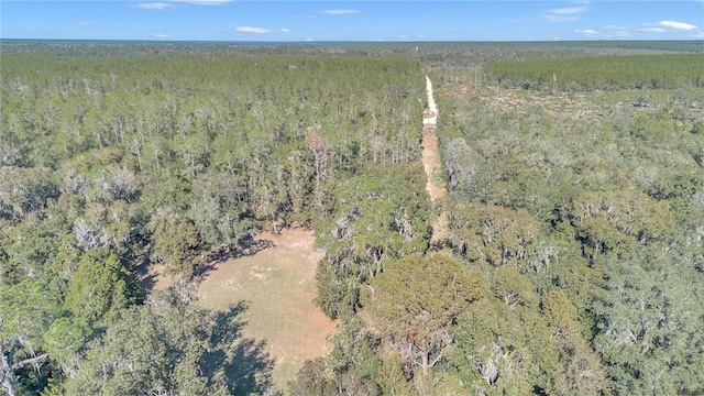 17830 NE 49th Street Rd, Silver Springs, FL 34488 - photo 24