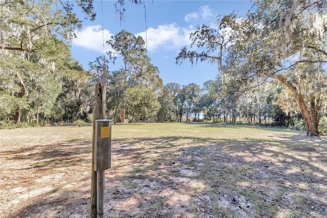 17830 NE 49th Street Rd, Silver Springs, FL 34488 - photo 25